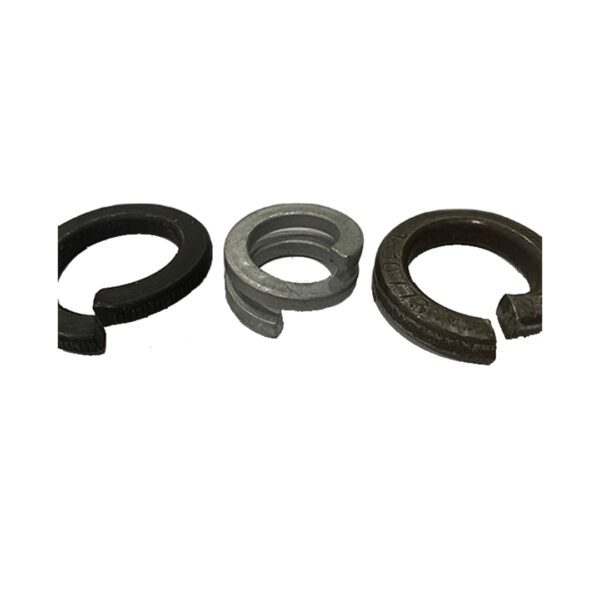 image of different types of spring washers